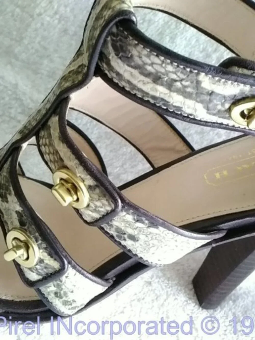 COACH~SNAKESKIN~GOLD TURNLOCK *TAMARAH* 4